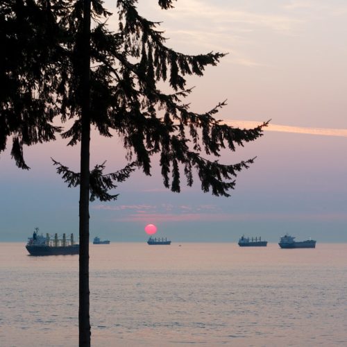 ocean freighters with fir tree in foreground and pink sunset