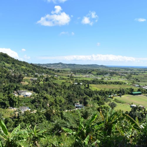 green hillsides with tropical farming