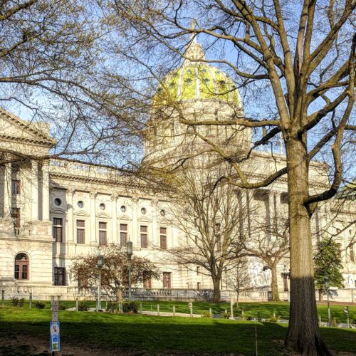 marble capitol building with dome behind trees