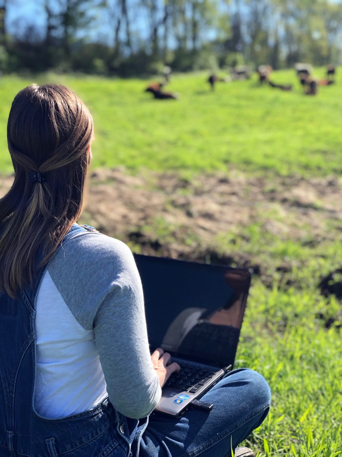 Woman using laptop in field.