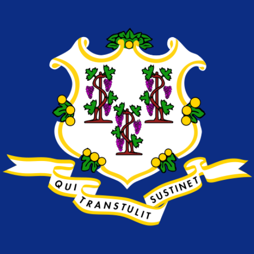 graphic image of Connecticut state flag