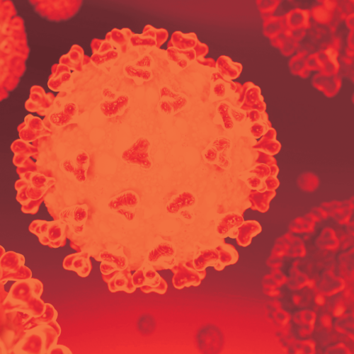 image of a coronavirus