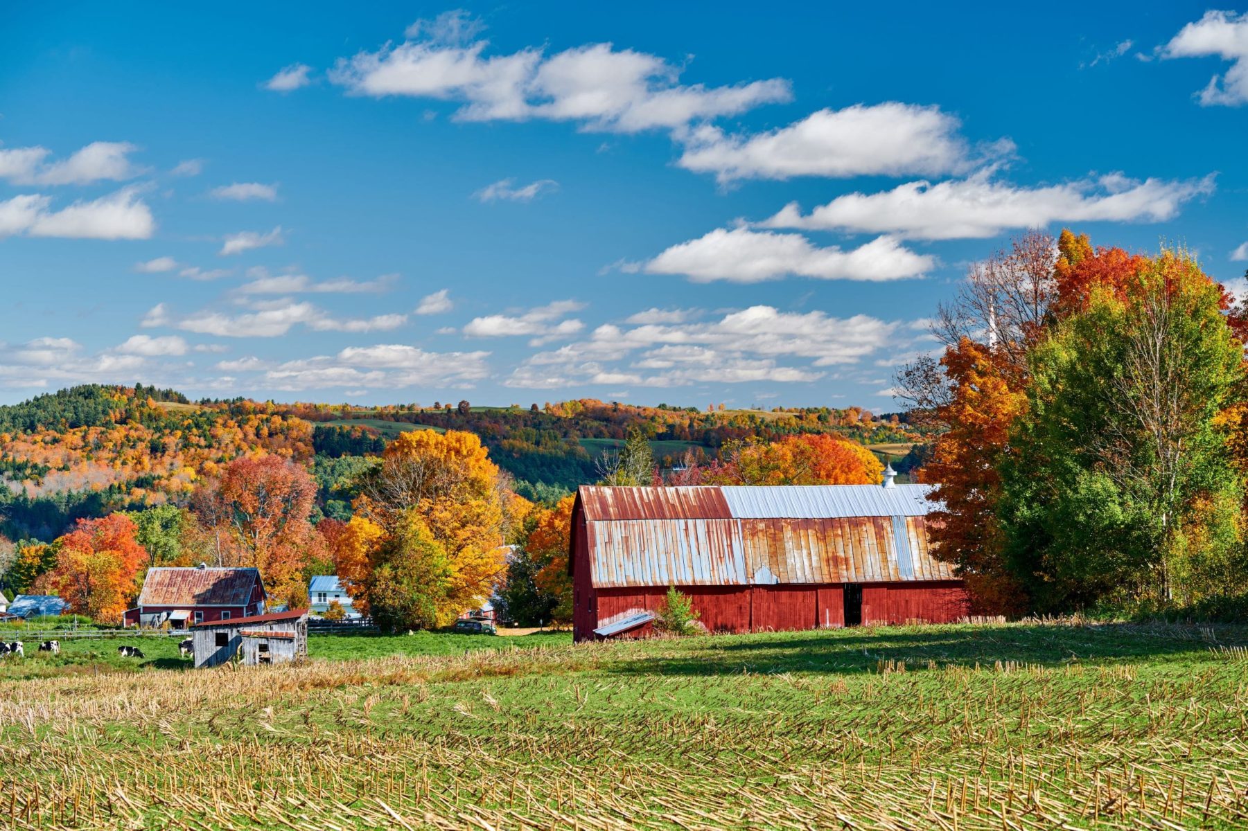 Farm and red barn at sunny autumn day