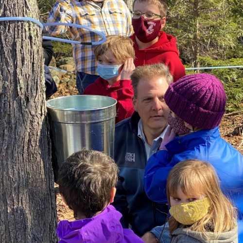 people around sap bucket attached to tree