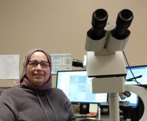 Woman wearing Hijab in laboratory